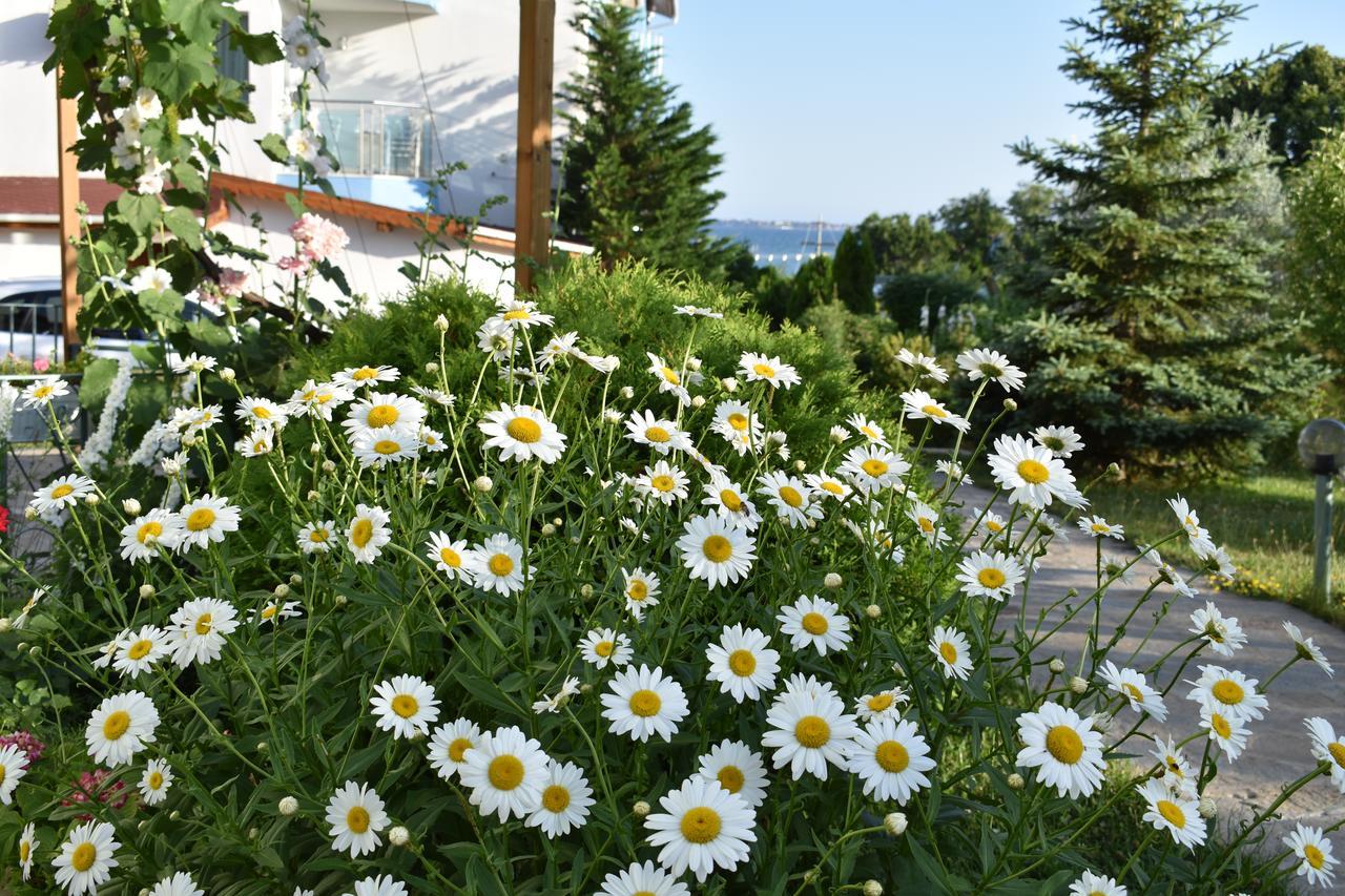Nushev Hotel Sveti Vlas Exterior photo